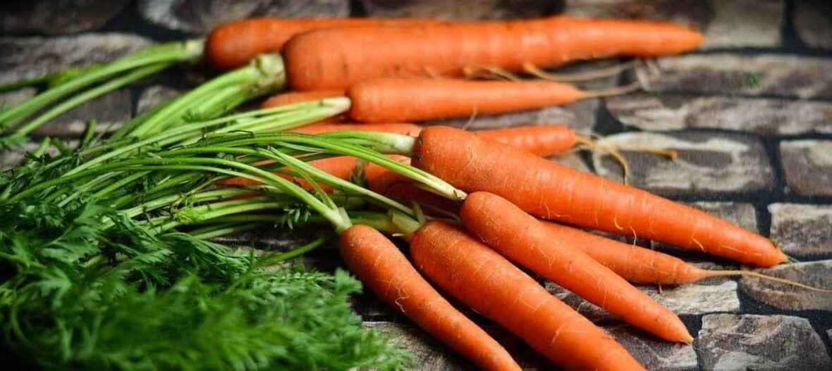 Gartenarbeit im Juli VIVANNO