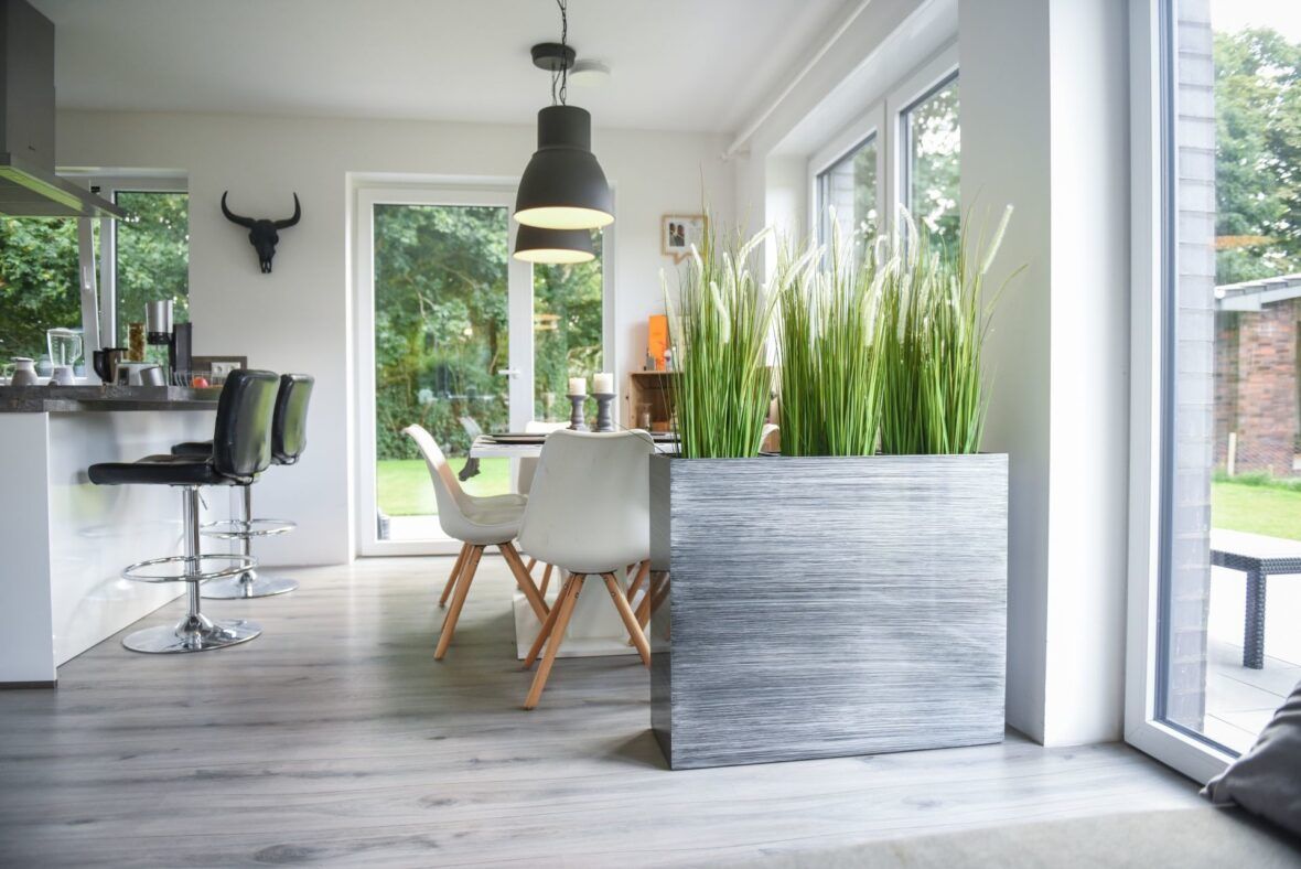 Pflanzen Fur Die Kuche Und Krauter Fur Die Fensterbank Vivanno