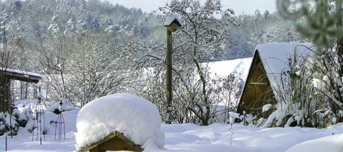 Gartenarbeit Im Januar Vivanno