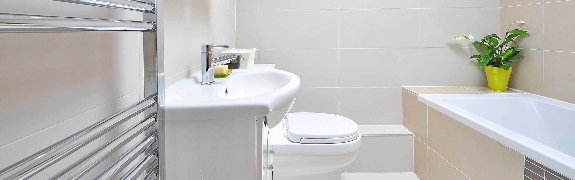 allflor kirschlorbeer dünger Kirschlorbeer Dünger von Flora Boost main image 1