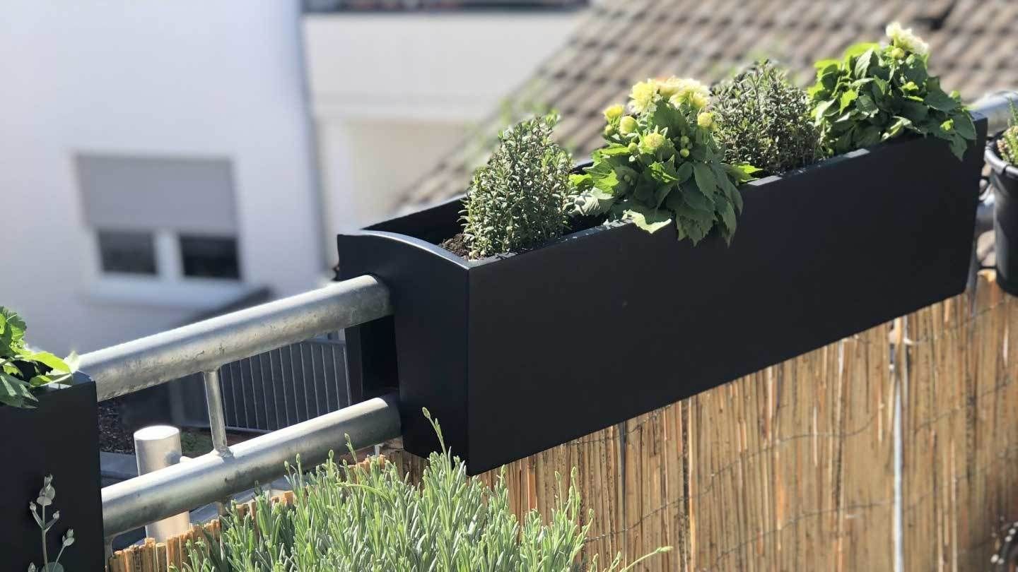 prosperplast blumenkasten Prosperplast Boardee Fencycase Blumenkasten Balkonkasten Blumentopf Pf –  Euroelectronics DE main image 0