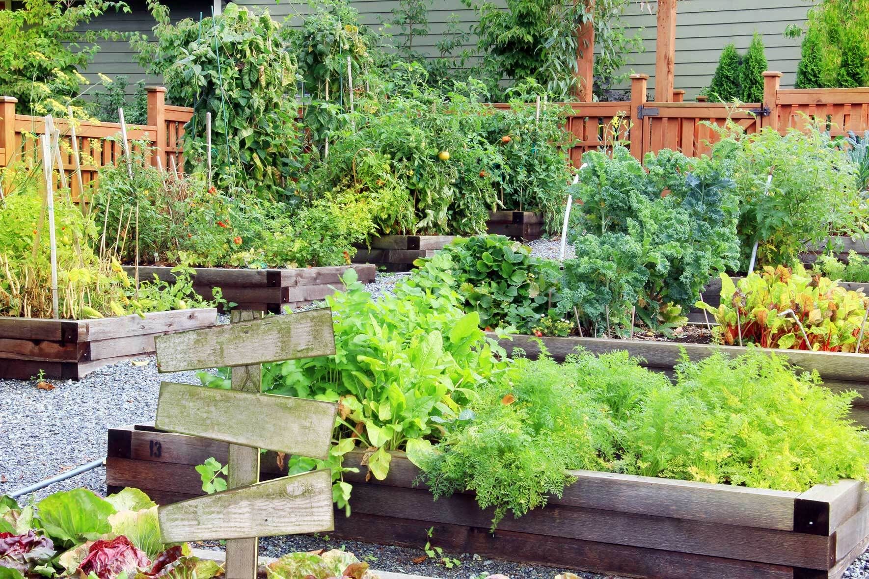 Urban Gardening Vom Gärtnern in der Stadt VIVANNO