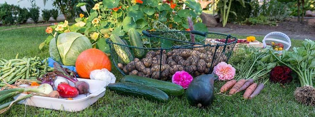 47+ Gartenarbeit Im September, Der september ist noch mal richtig