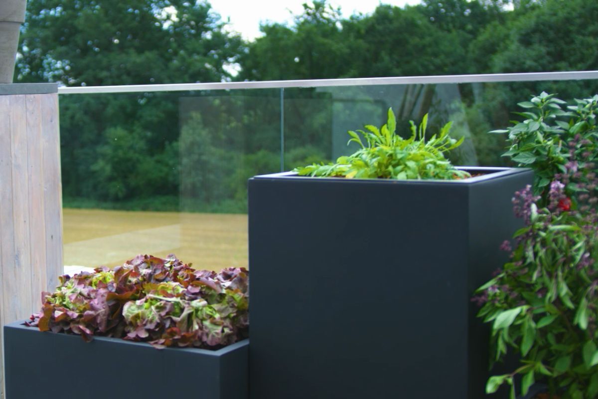 Gemüsebeet und Kräutergarten auf dem Balkon anlegen VIVANNO