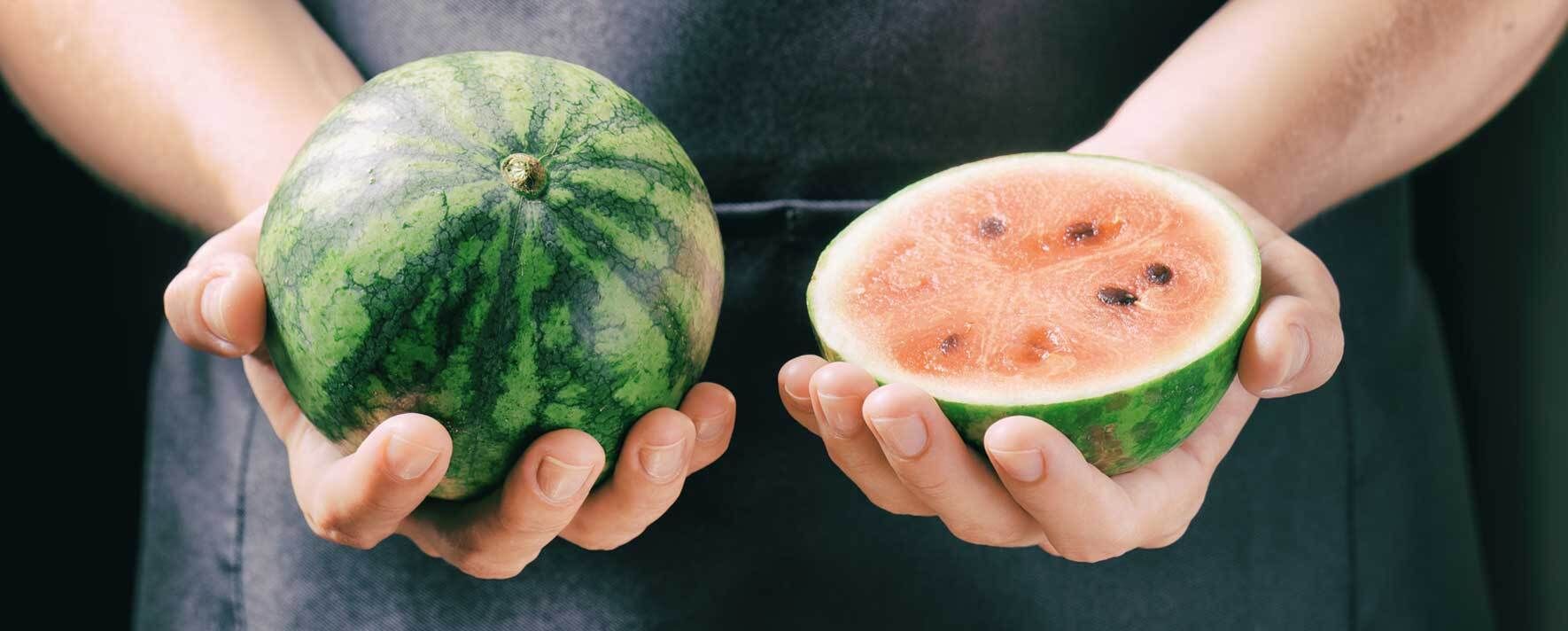 Wassermelone im Topf pflanzen so funktioniert's! VIVANNO