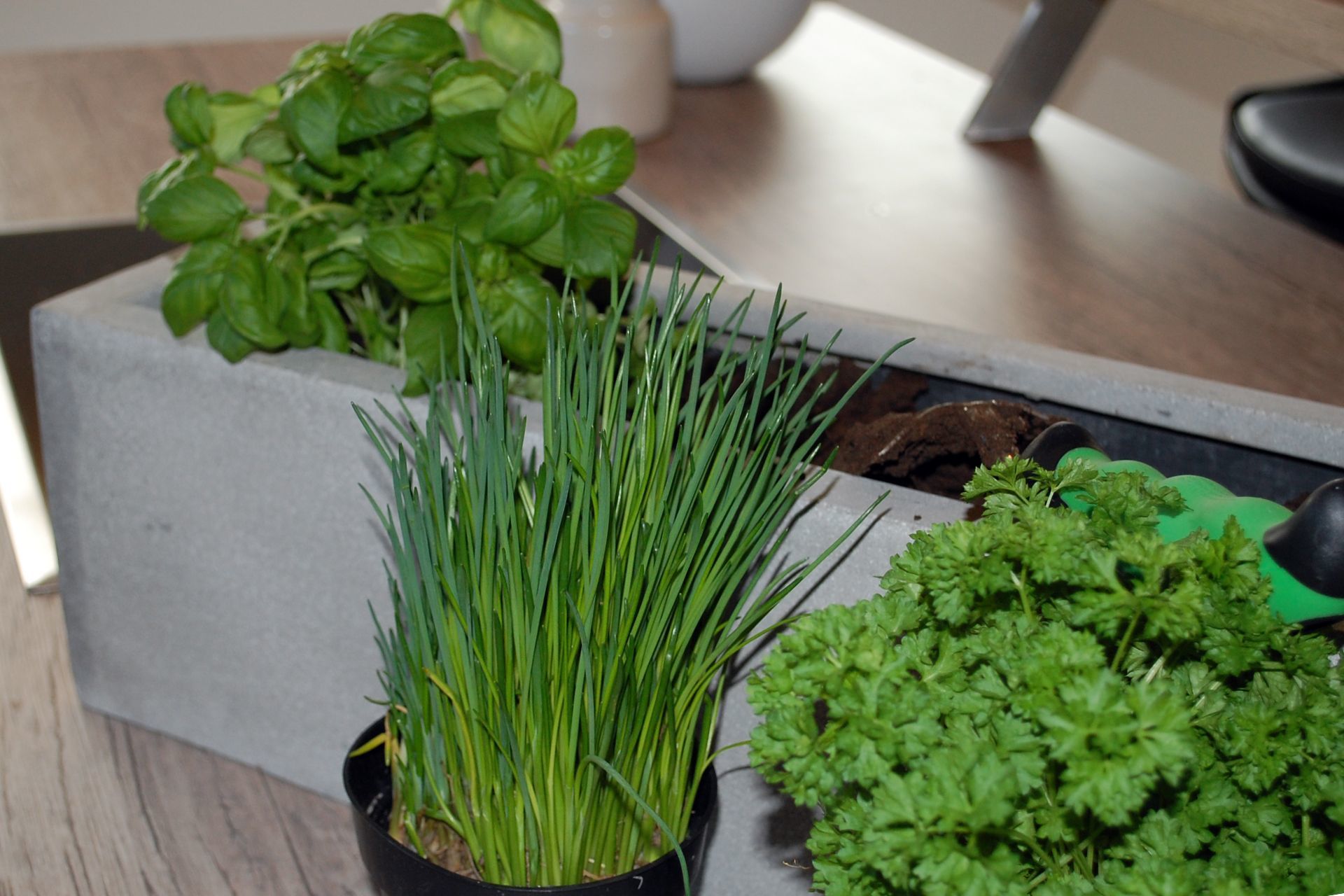 Kruterbeet in einem Blumenkasten anlegen | VIVANNO