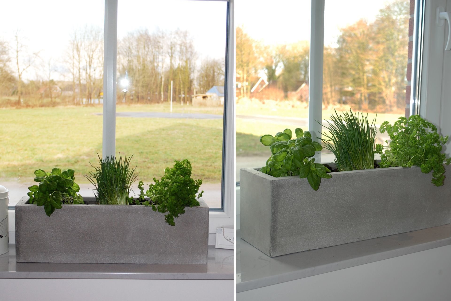 Kruterbeet in einem Blumenkasten anlegen | VIVANNO