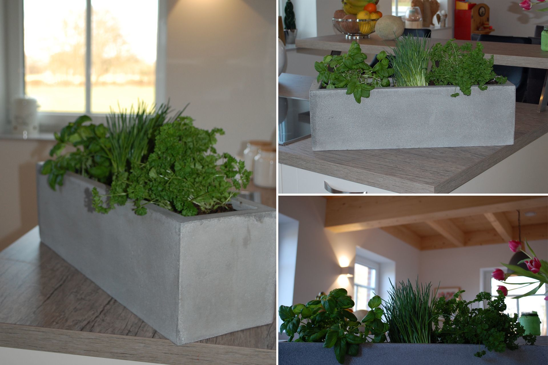 Kruterbeet in einem Blumenkasten anlegen | VIVANNO
