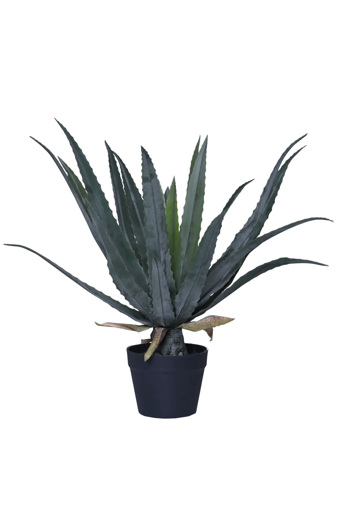 Kunstpflanzen tuschend echt: Von Agave bis Orchidee | VIVANNO