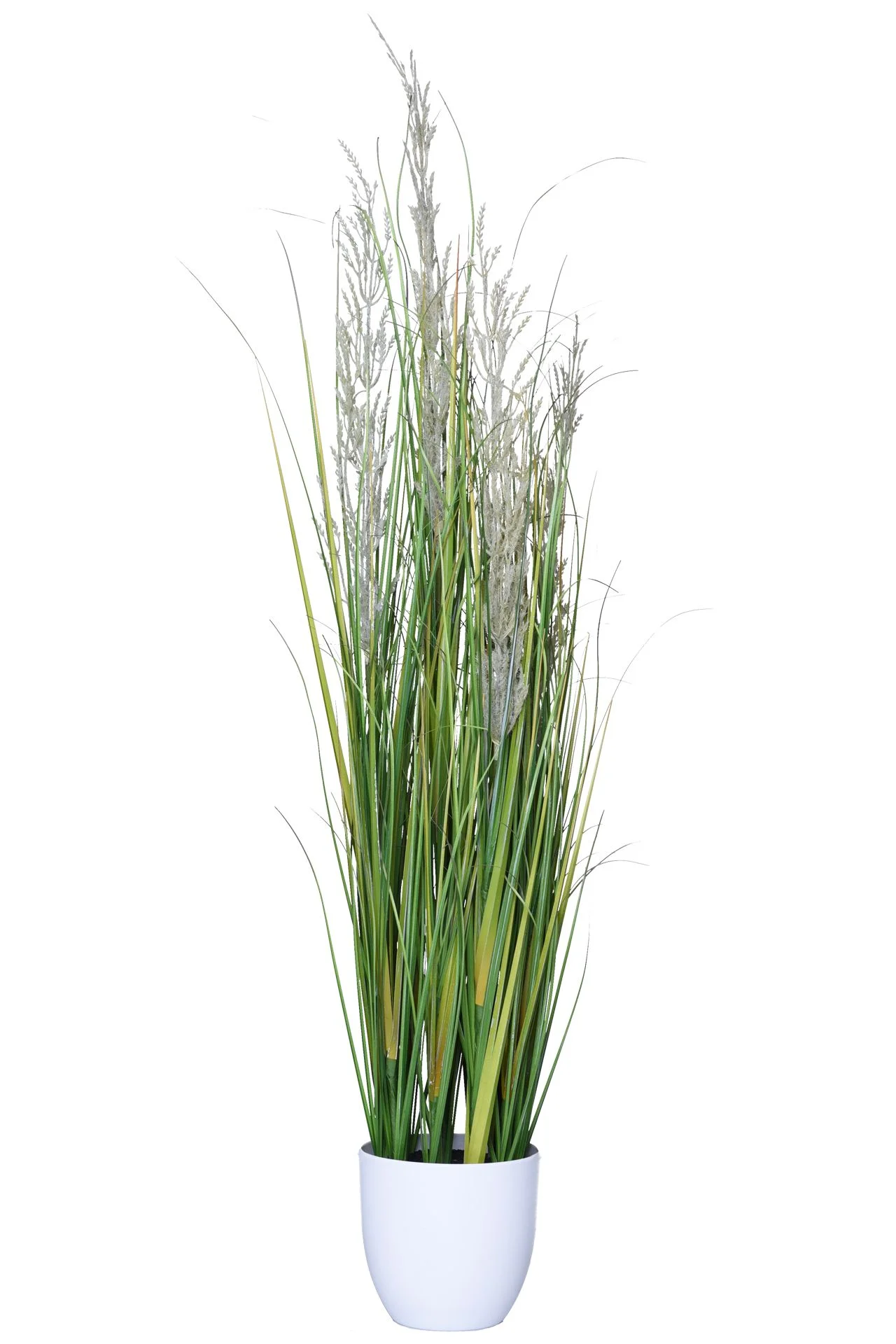 Kunstpflanzen tuschend echt: Von Agave bis Orchidee | VIVANNO