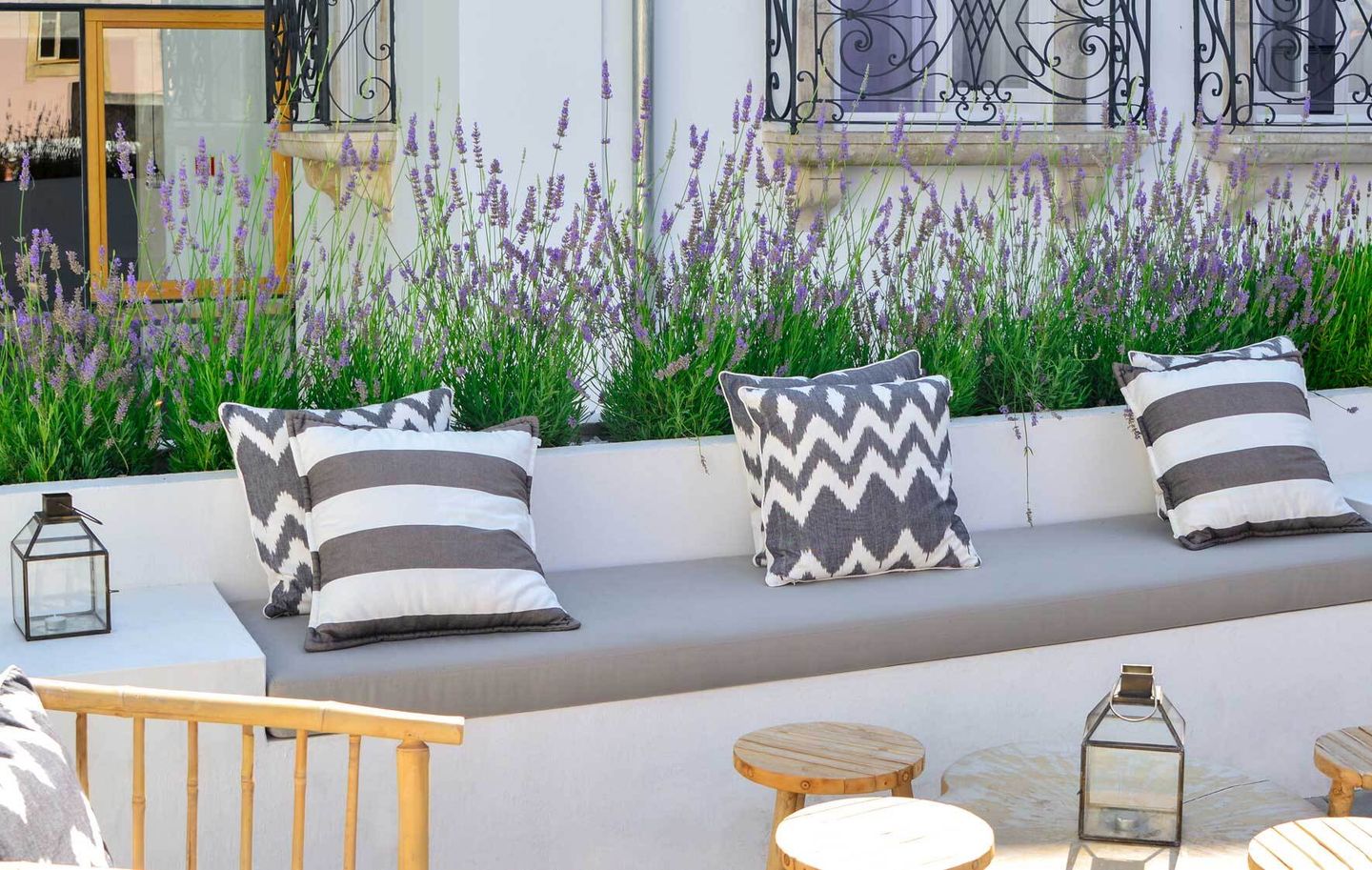 Lavendel im Topf pflanzen, pflegen, überwintern VIVANNO