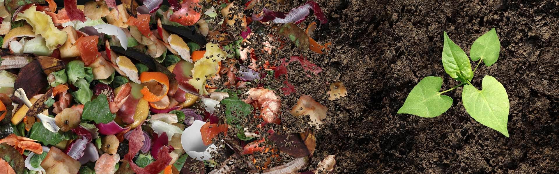 Biologisch gärtnern Grundprinzipien im Biogarten VIVANNO