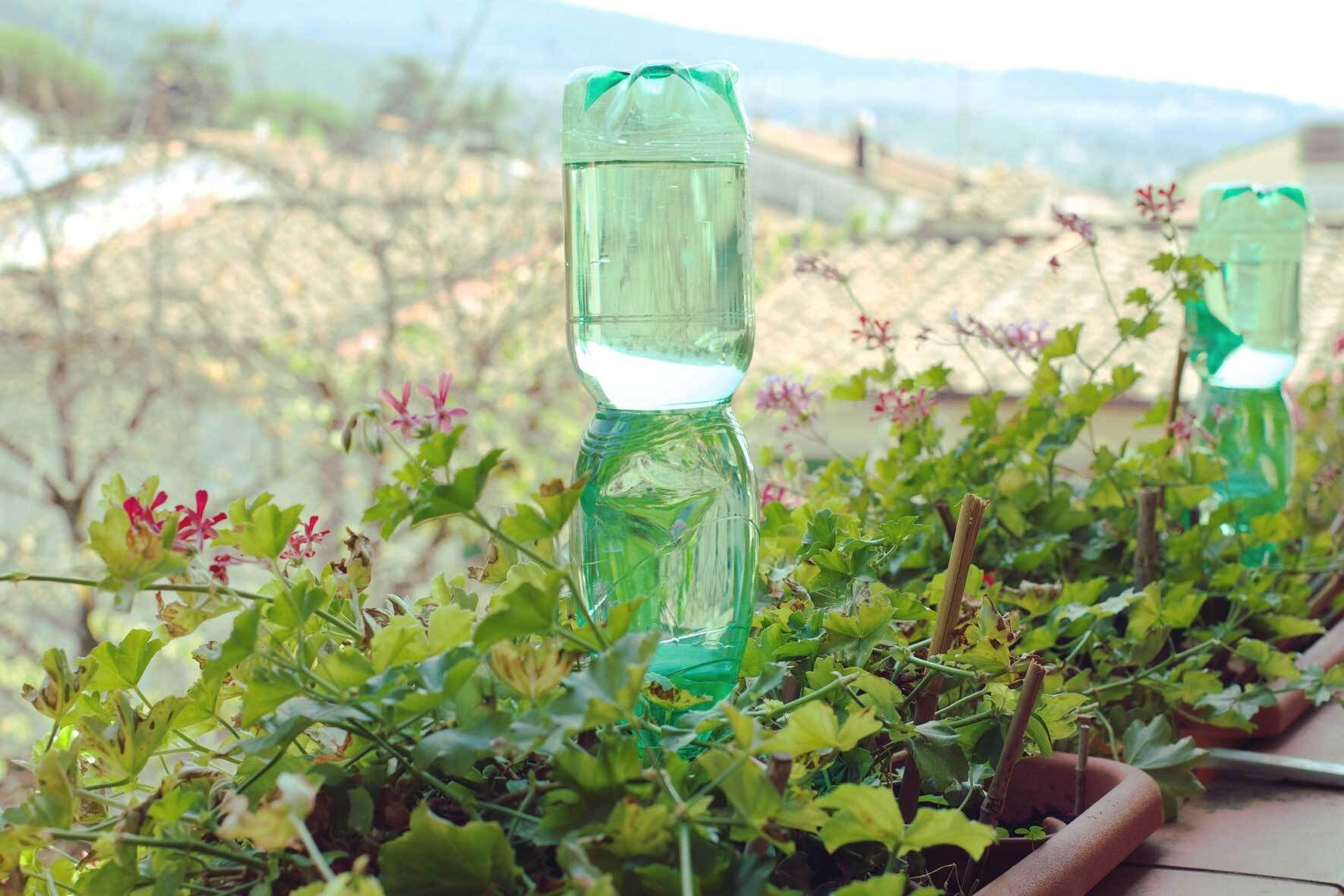 Automatische Bewässerung im Urlaub: Pflanzen optimal versorgen