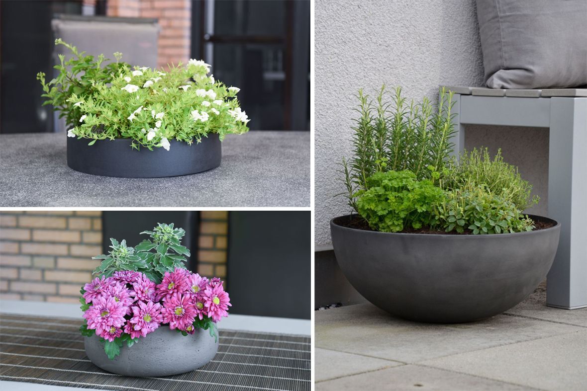 Pflanzschalen dekorieren DIY | VIVANNO