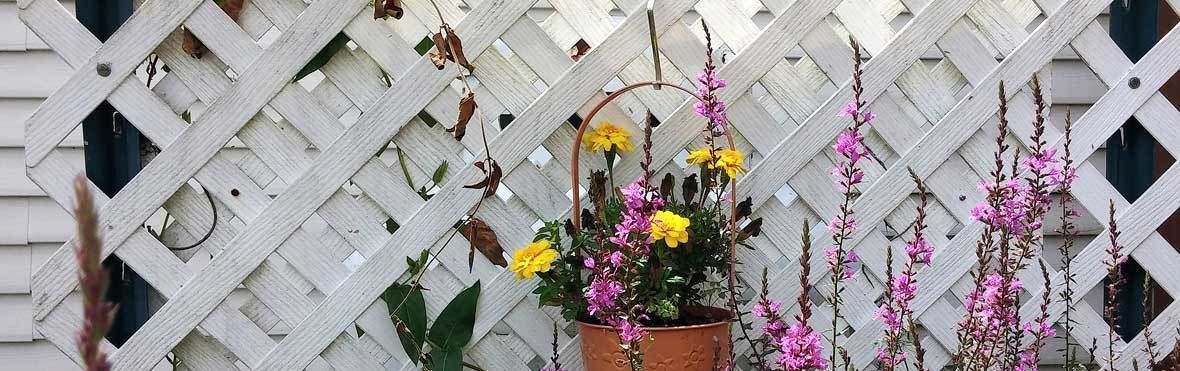 Reihenhaus mit kleinem Garten 7 Tipps für die Gestaltung VIVANNO