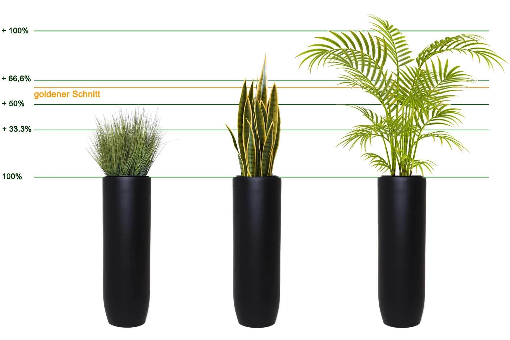 6 Verschiedene Topfpflanzen Set - Grüne Zimmerpflanzen Für Heim & Büro