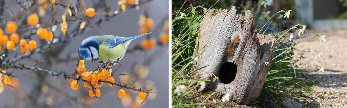 Biologisch gärtnern Grundprinzipien im Biogarten VIVANNO