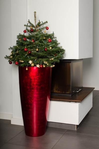 DIY - Kleine Weihnachtsbäume in Blumentöpfen | VIVANNO