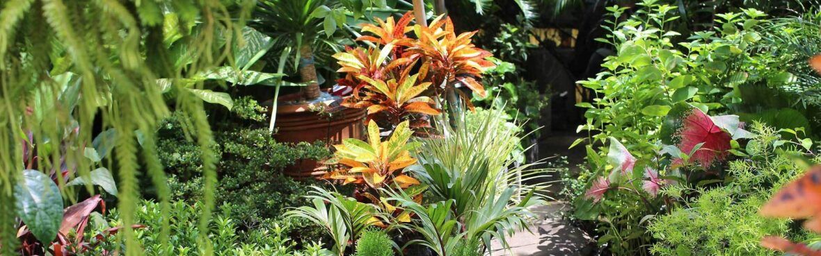 Gartenkalender Ratgeber Gartenarbeit Durchs Ganze Jahr Vivanno