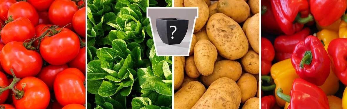 Gemuse Im Pflanzkubel Balkonkasten Und Blumentopf Vivanno