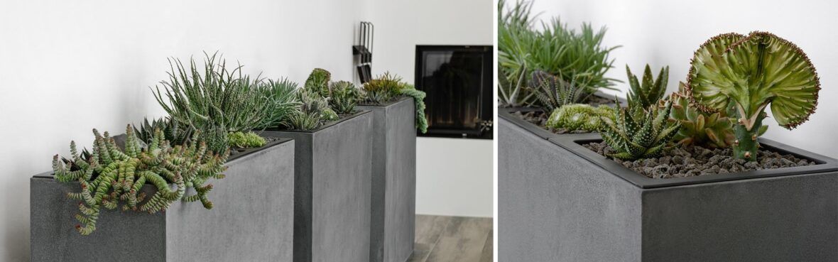 Pflanztopf Wohnung Und Garten Verschonern Vivanno