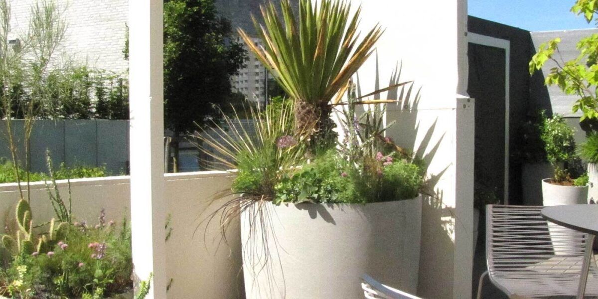 Dachterrasse bepflanzen: Pflanzen fr die luftige Hhe | VIVANNO