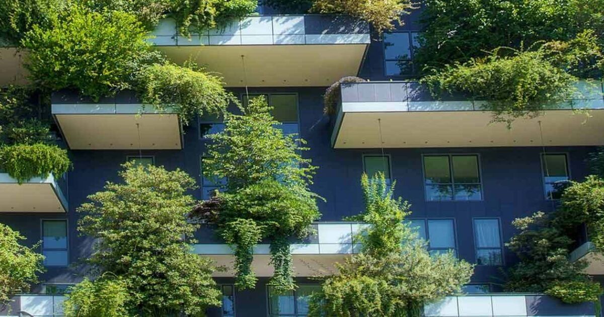 Kleine Bäume für Balkon und Terrasse VIVANNO