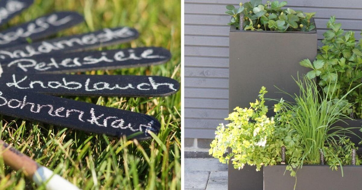 DIY - Namensschilder für den Gemüse- und Kräutergarten