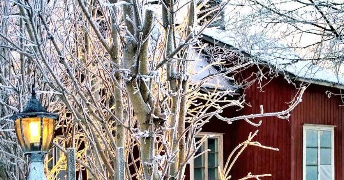 Gartenarbeit im Dezember VIVANNO