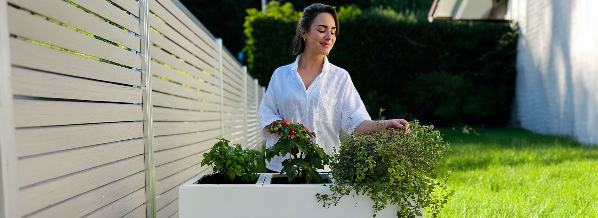 Mediterrane Kruter im Topf: Oregano, Rosmarin & Co. | VIVANNO