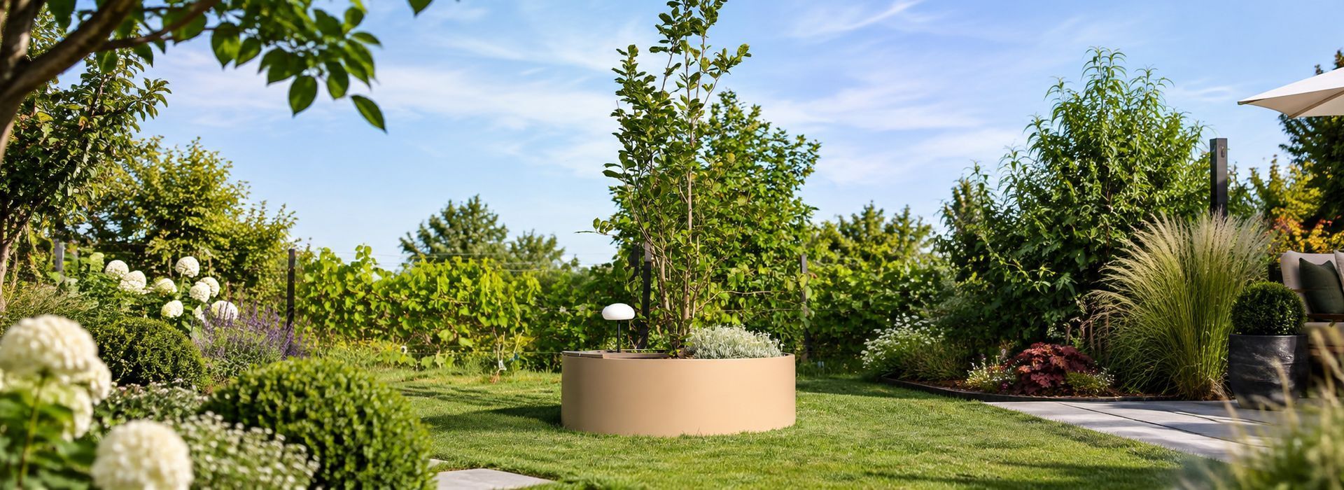 Pflanzkübel als Baumring Baumeinfassung mit einem Magnolienbaum im Garten, rechts Terrassenanschnitt Pflanzkübel als Baumring Baumeinfassung mit einem Magnolienbaum im Garten, rechts Terrassenanschnitt