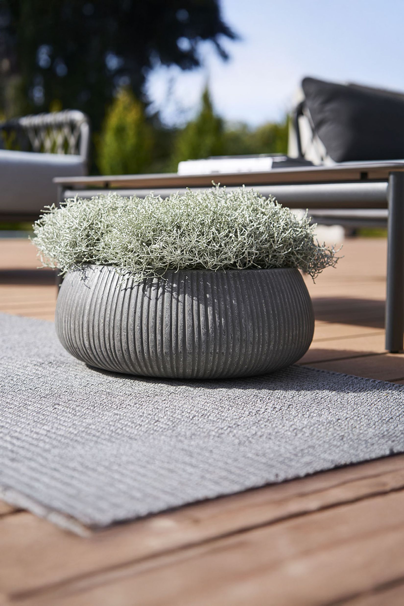 Pflanzschale Dekoschale PERA Fiberglas Anthrazit geriffelt