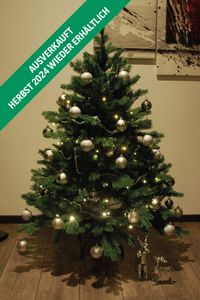 120 Grün Polyethylen Weihnachtsbaum Nordmann | VIVANNO