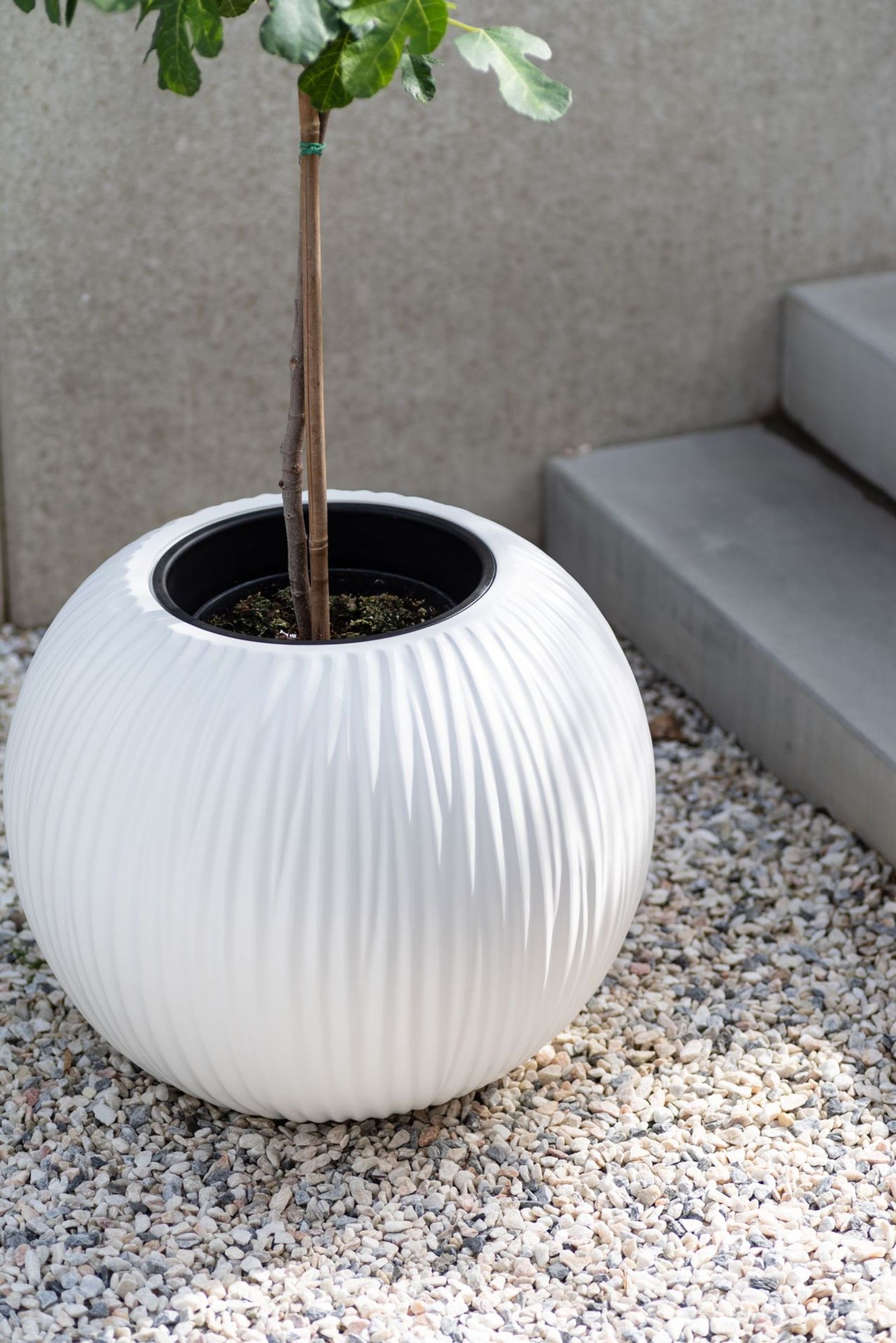 Pflanzkübel Blumenkübel Fiberglas VITRO weiß matt Pflanzkübel Blumenkübel Fiberglas VITRO weiß matt