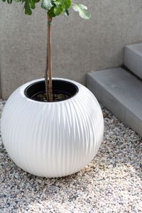 Pflanzkübel Blumenkübel Fiberglas VITRO weiß matt Pflanzkübel Blumenkübel Fiberglas VITRO weiß matt