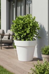 Blumentopf Pflanzkübel aus Kunststoff Rund Weiß LEVANTA