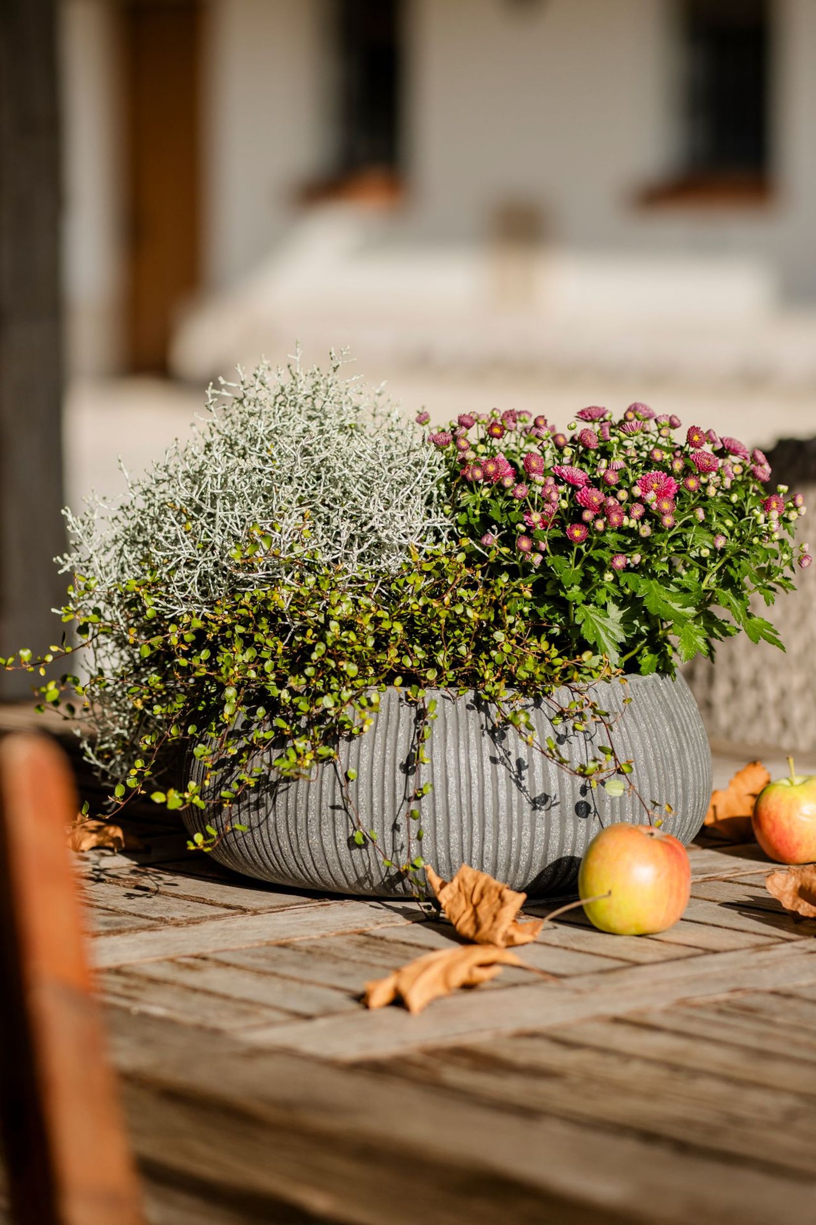 Pflanzschale Dekoschale PERA Fiberglas Grau geriffelt