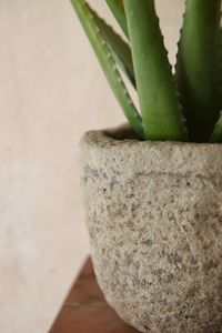 Kunstpflanze Kunststoff Agave im schwarzen Kunststofftopf ASPARA