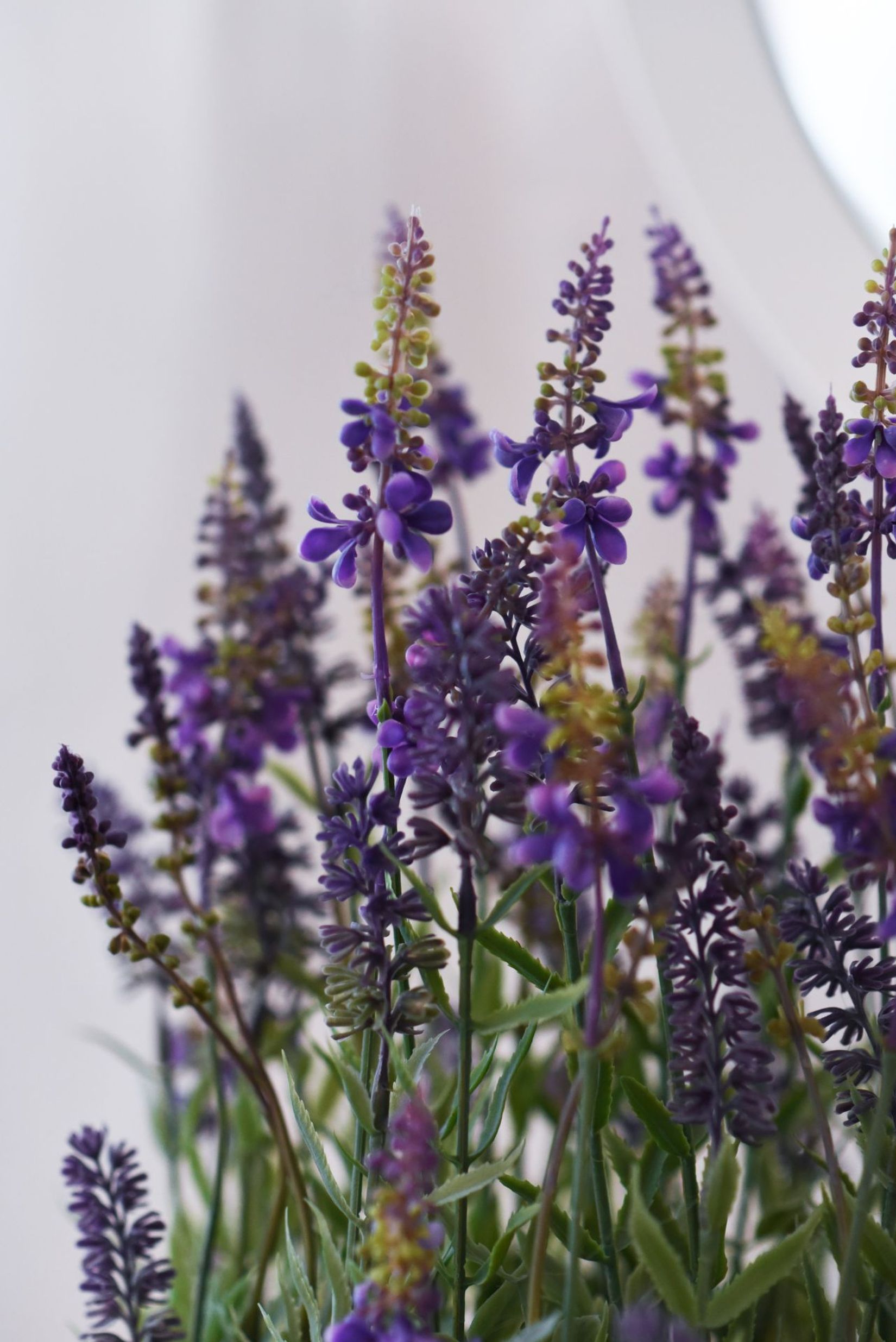 Lavendel in Pflanzschale künstlich Kunstpflanze LAVANDULA