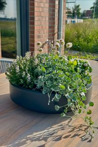 Pflanzschale Dekoschale rund Fiberglas ESCADA LOW Anthrazit