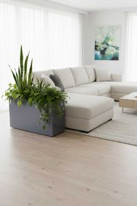 Raumteiler mit Rollen pulverbeschichteter Edelstahl "Elemento" niedrig, Silbergrau