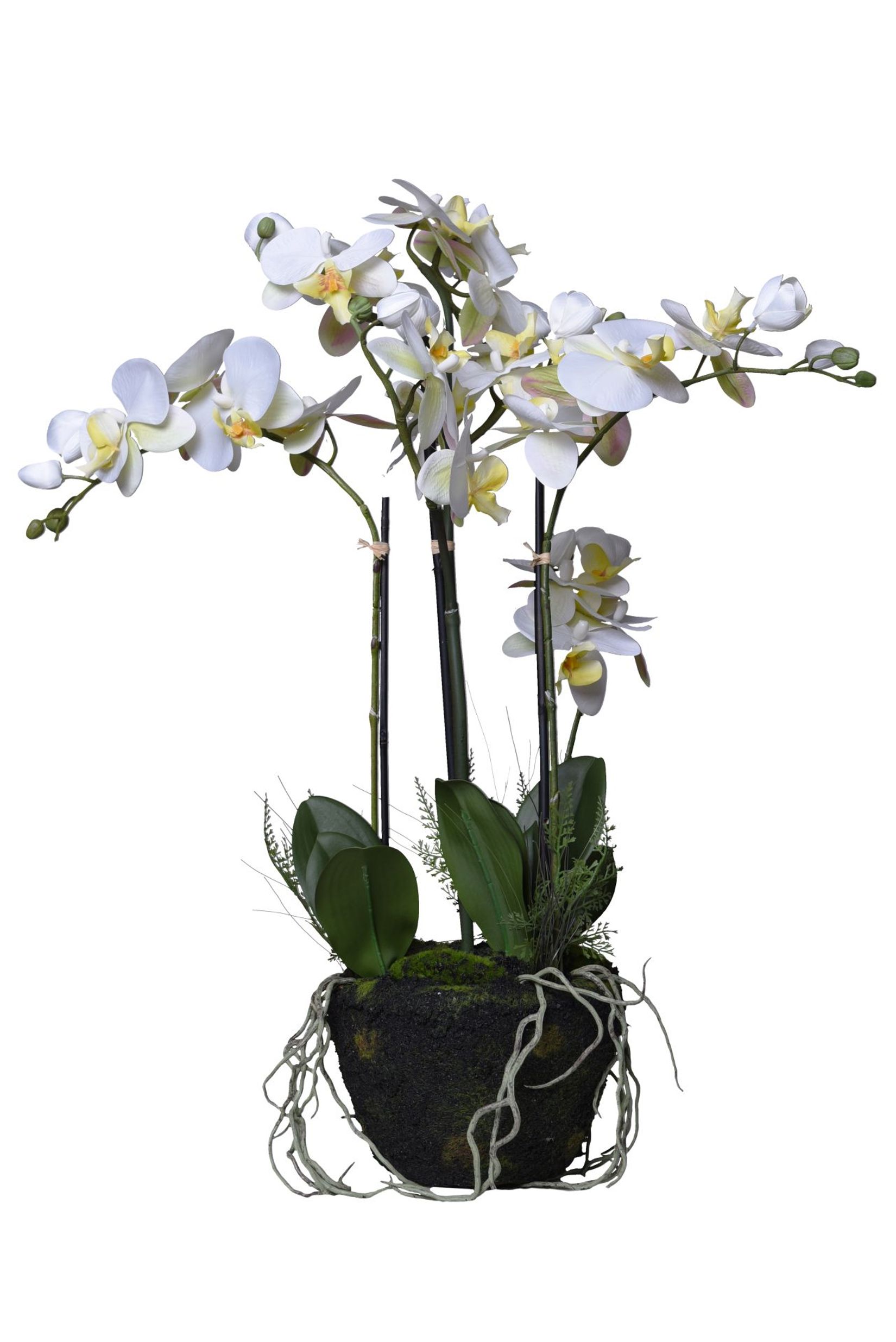Kunstpflanze künstliche Orchidee im Erdballen Kunststoff ORCHIDELIS