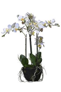 Pflanzkübel MERA Fiberglas Silber Hochglanz mit Kunstpflanze ORCHIDELIS
