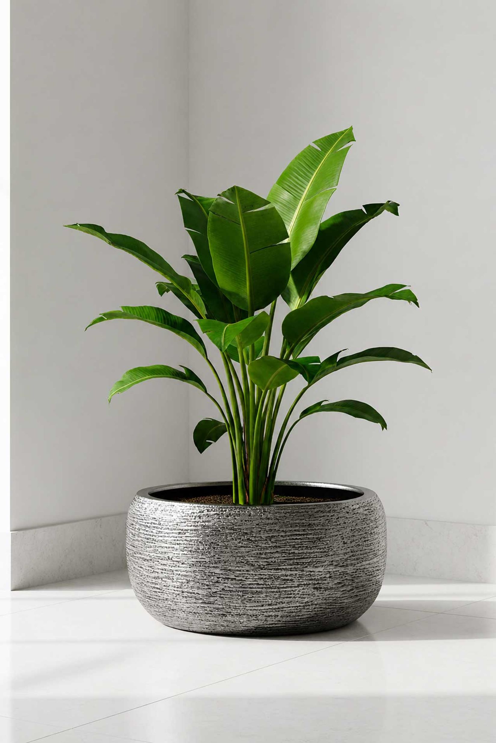 Pflanztopf POTTA Fiberglas 55x26 cm Silber
