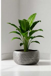 Pflanztopf POTTA Fiberglas 55x26 cm Silber Pflanztopf POTTA Fiberglas 55x26 cm Silber
