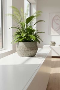 Pflanzkübel Blumentopf Fiberzement BRIGATA Erdgrau