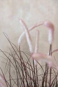 Kunstpflanze Kunstgras im Topf RUBA