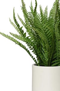 Kunstpflanze Farn im Dekotopf Kunststoff IRATZEA