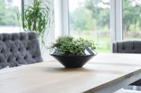 Dekoschale Schale Schlangenoptik "Futura", Schwarz Silber Hochglanz