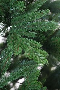 Künstlicher Weihnachtsbaum Premium Nordmanntanne, 180 cm hoch - Modell 2025